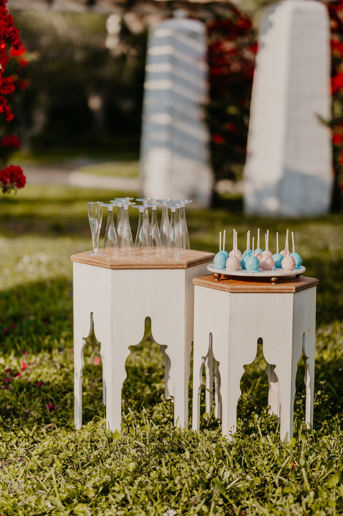 mariah-lacy-photo-granada-terrace-park-elope-chantilly-chic-celebrations-5