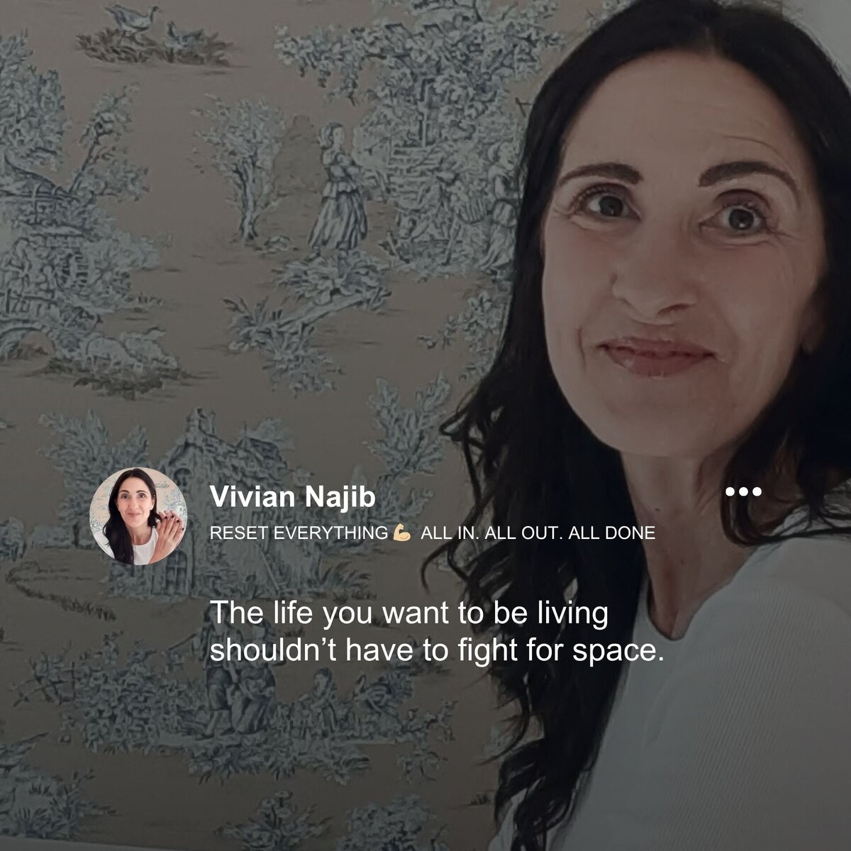 VIvian Najib - home organizer - reset everything - fight for space