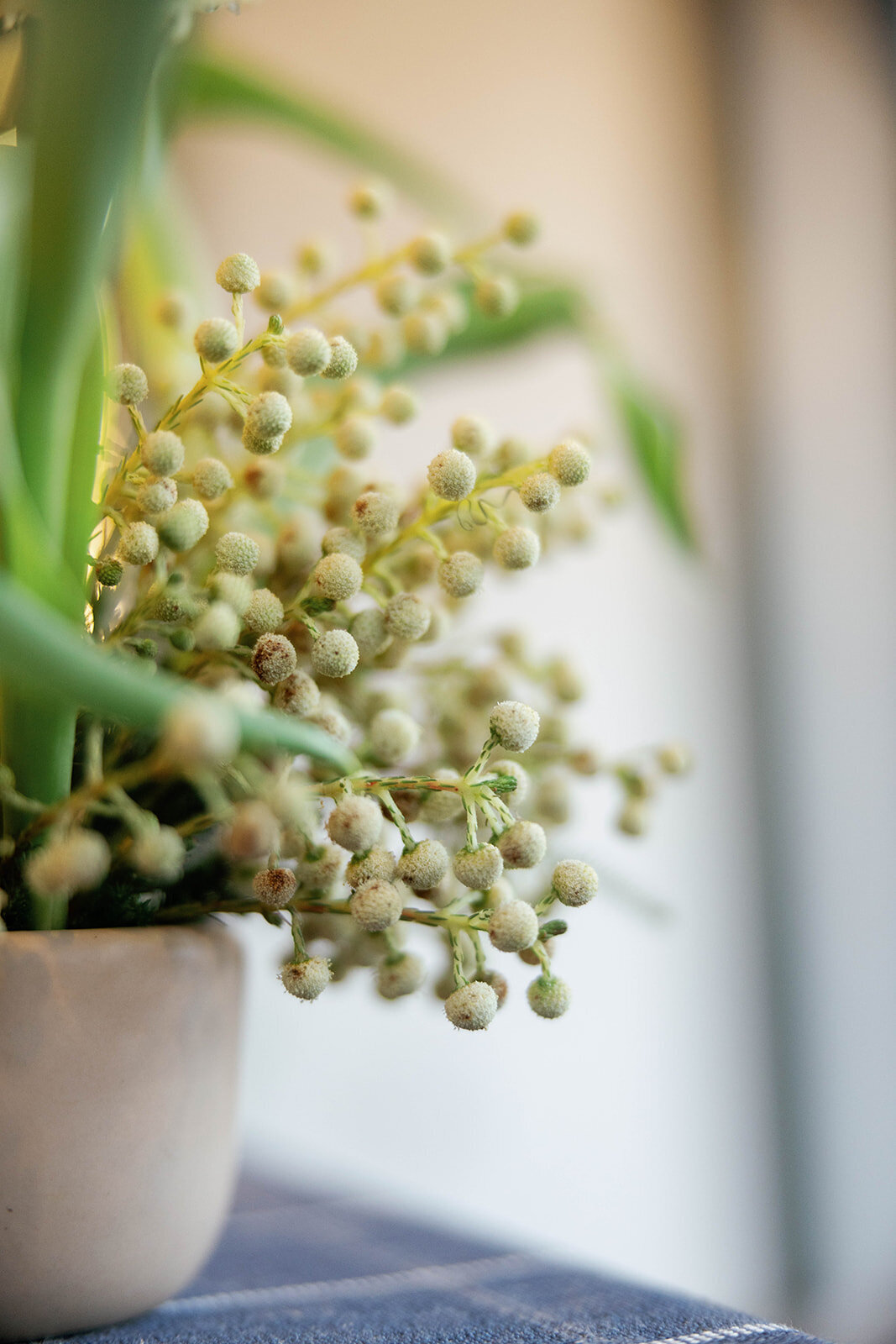 Orange_County_Top_Wedding_Planner_Weddings_Susan_Dunne_Los_Angeles_wedding_Planner_4523