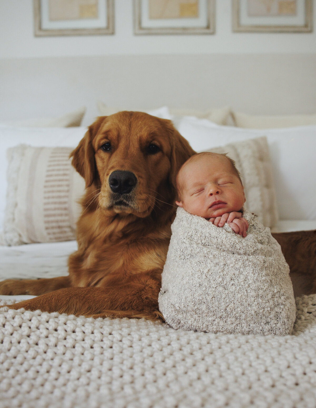 newbornsession2025--3