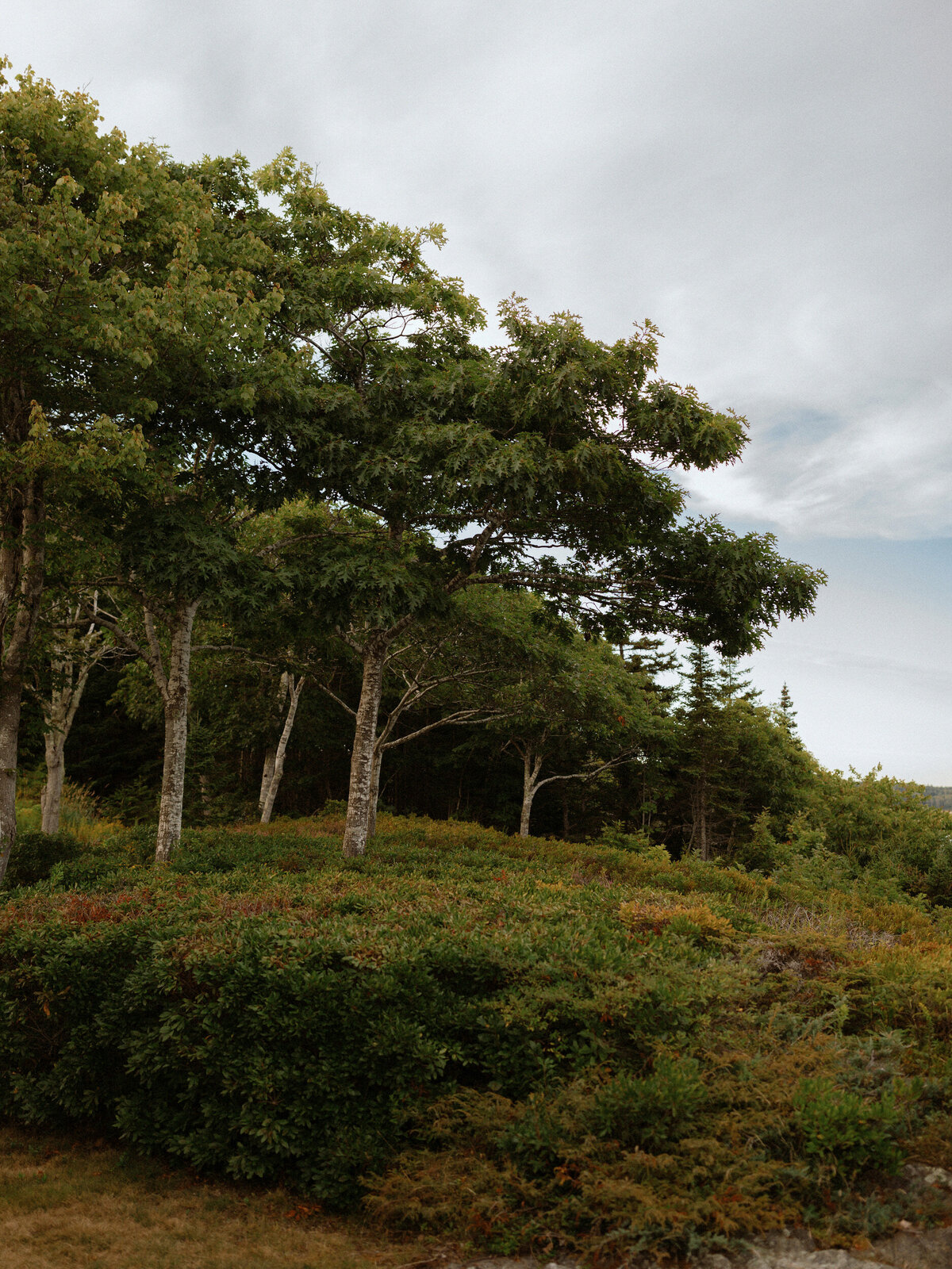 Private_Estate_Maine_Coastal_Wedding_LevKuperman_007