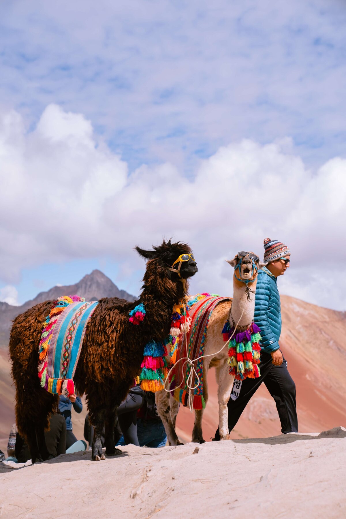 meredith-ewenson-salkantay-trek-peru-legit-trips-llama-rainbow-mountain