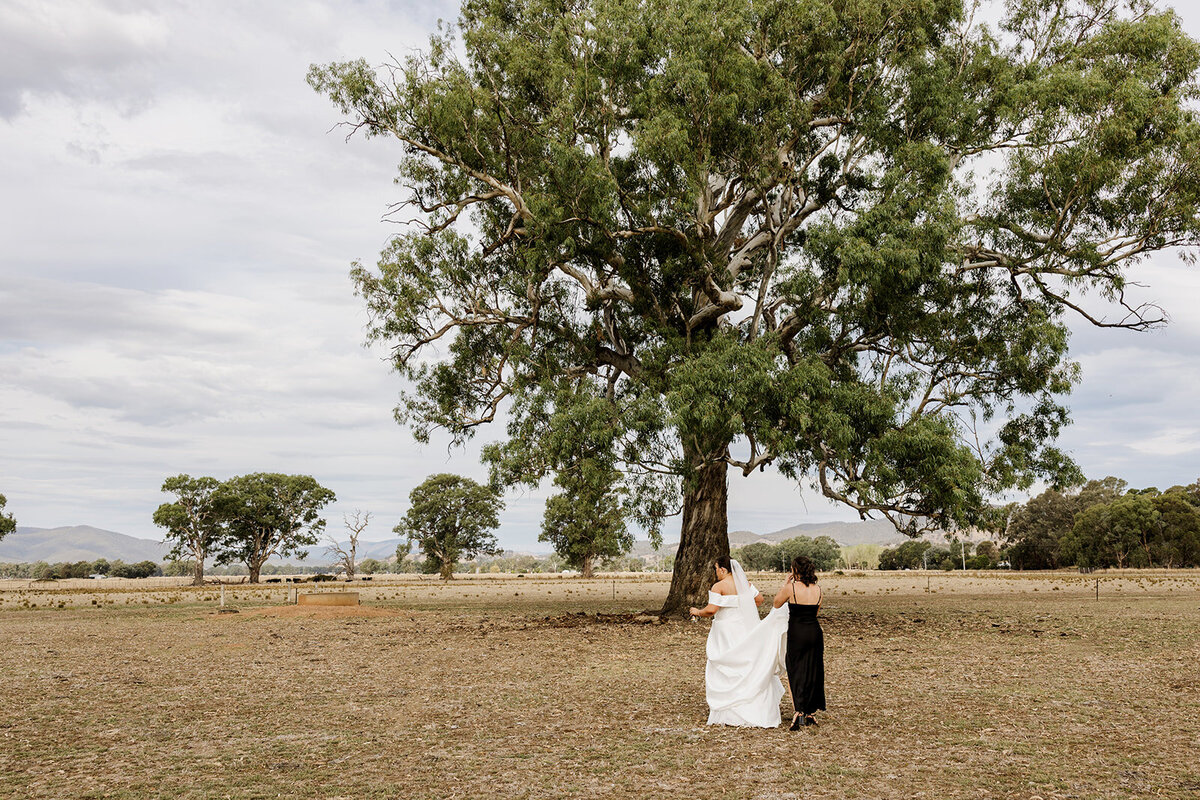 Kaitlyn and Mason - 15.03.2025 - JessicaCarrollPhotographer-488_websize