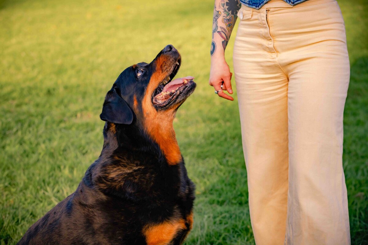 seattle-pet-photographer-46