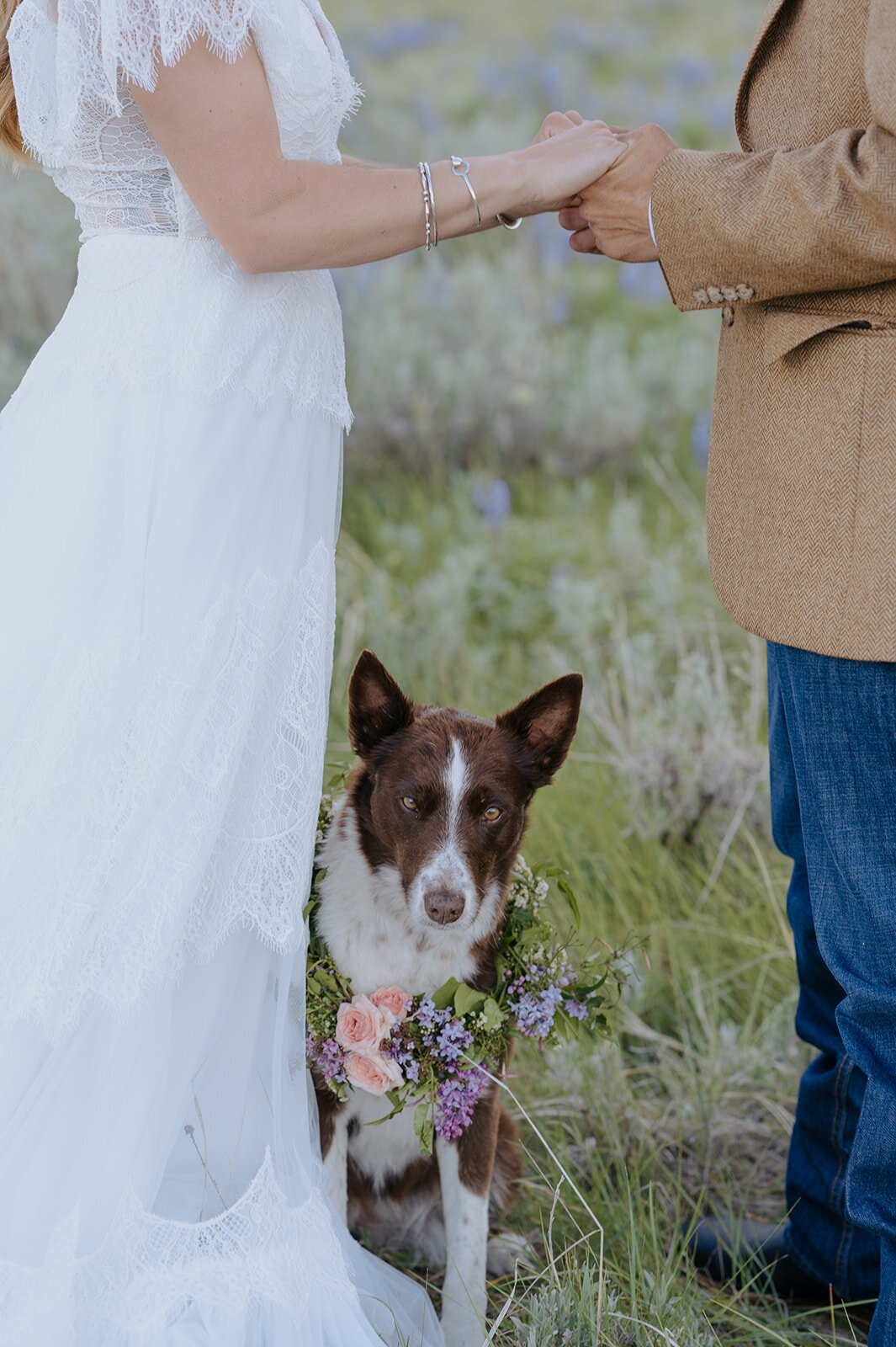 Carly-Patrick-Sheridan-Wyoming-Elopement-129