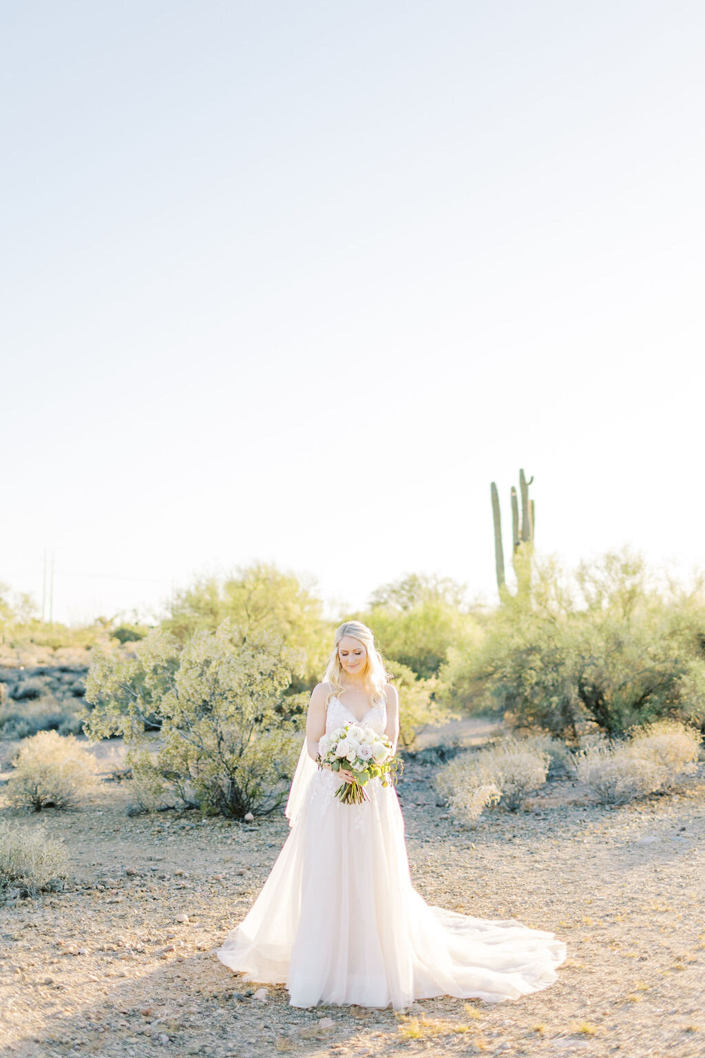 The Paseo Desert WeddingSommerandJoe-0014