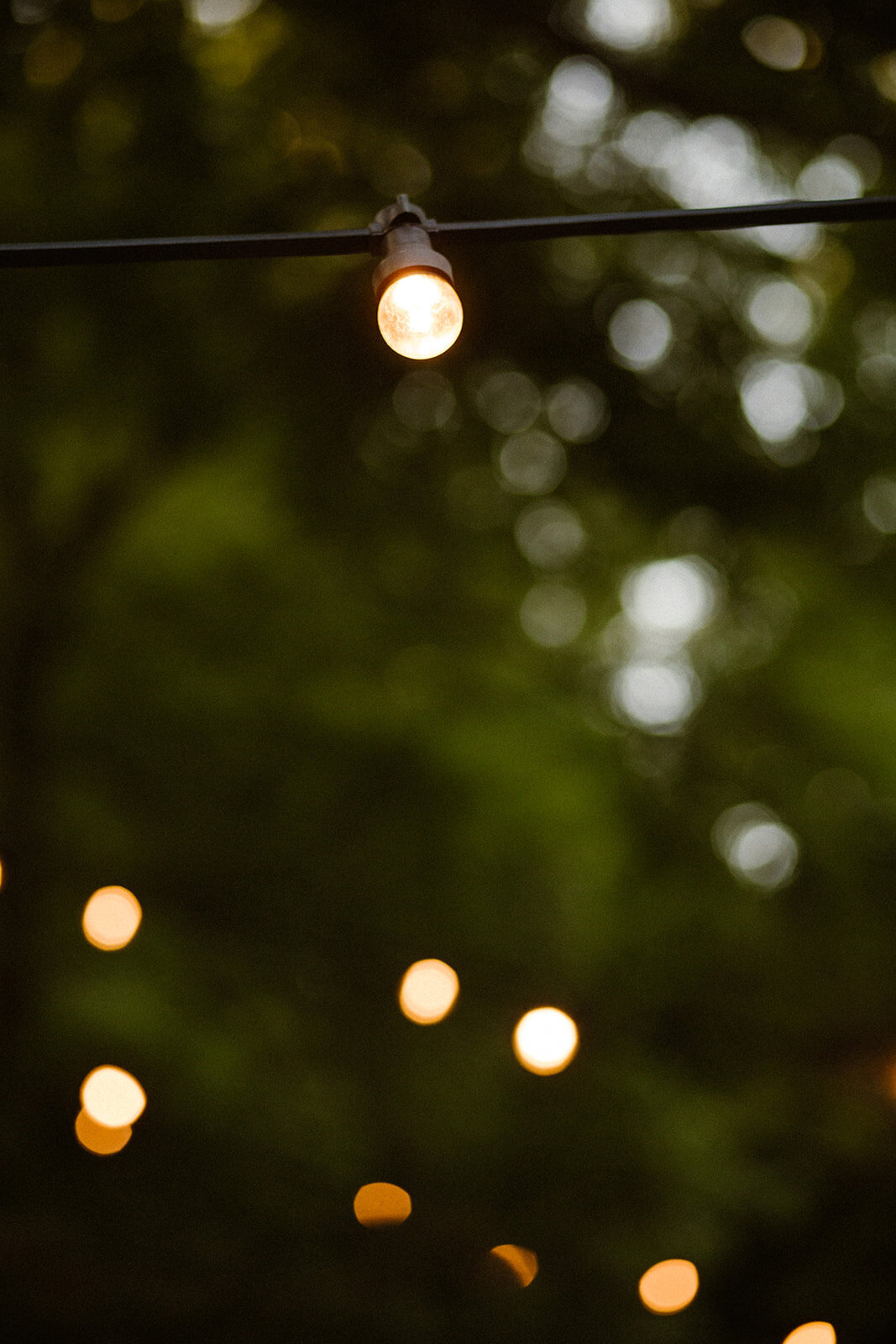 Amanda-Drost-Photography-907