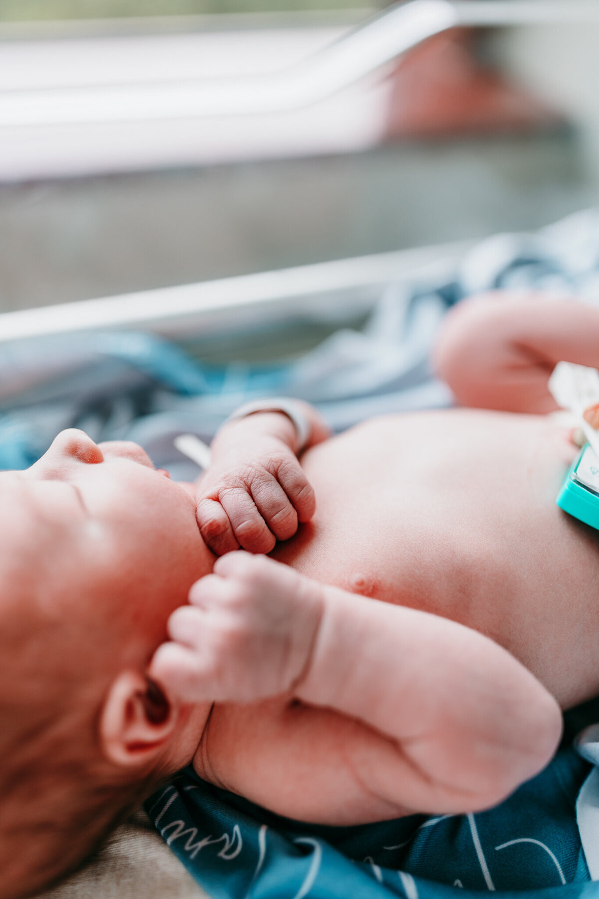 best NWA Fresh 48 photographer, fresh 48 newborn photography Northwest Arkansas