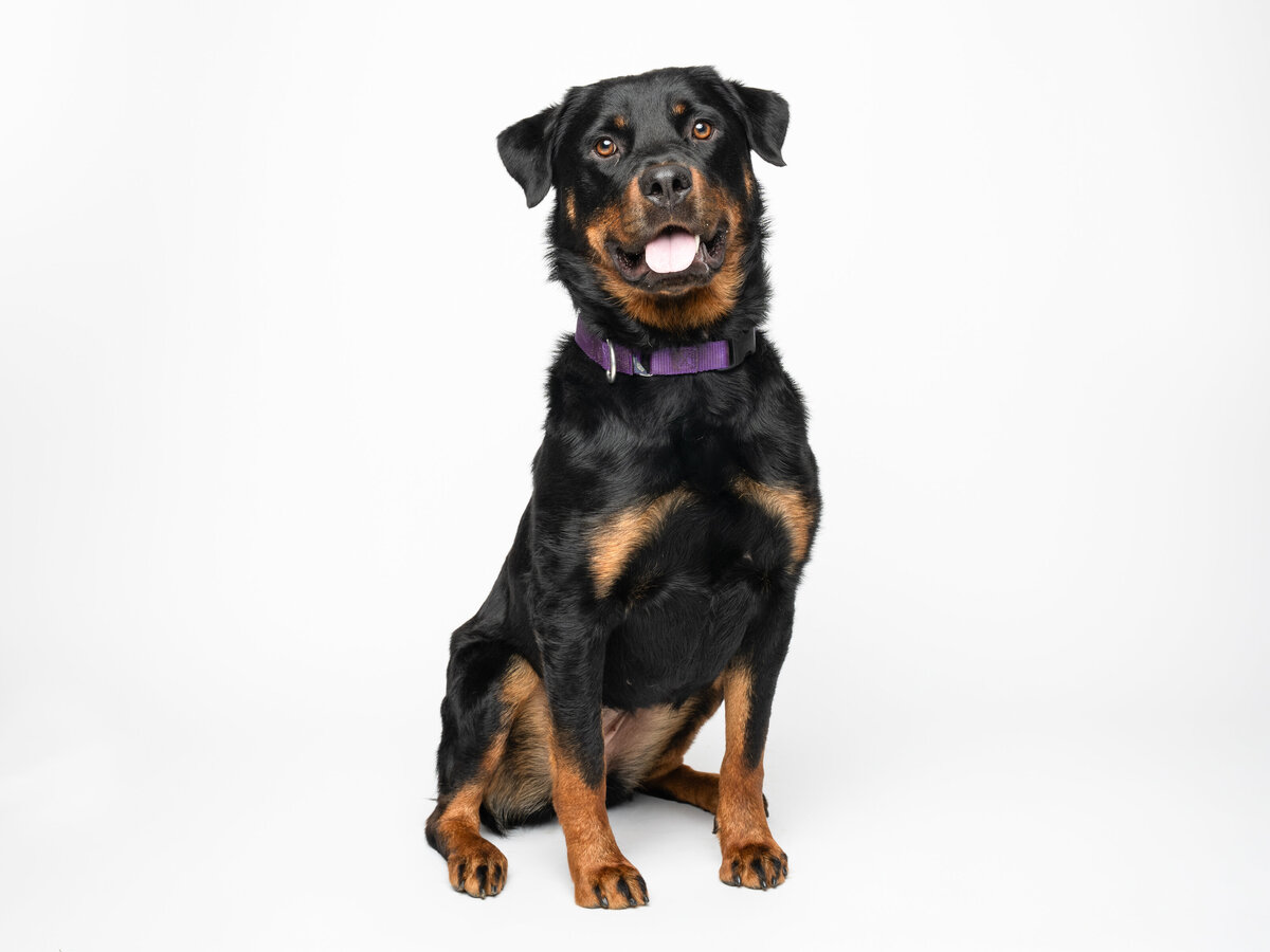 Website3500-DSC01599