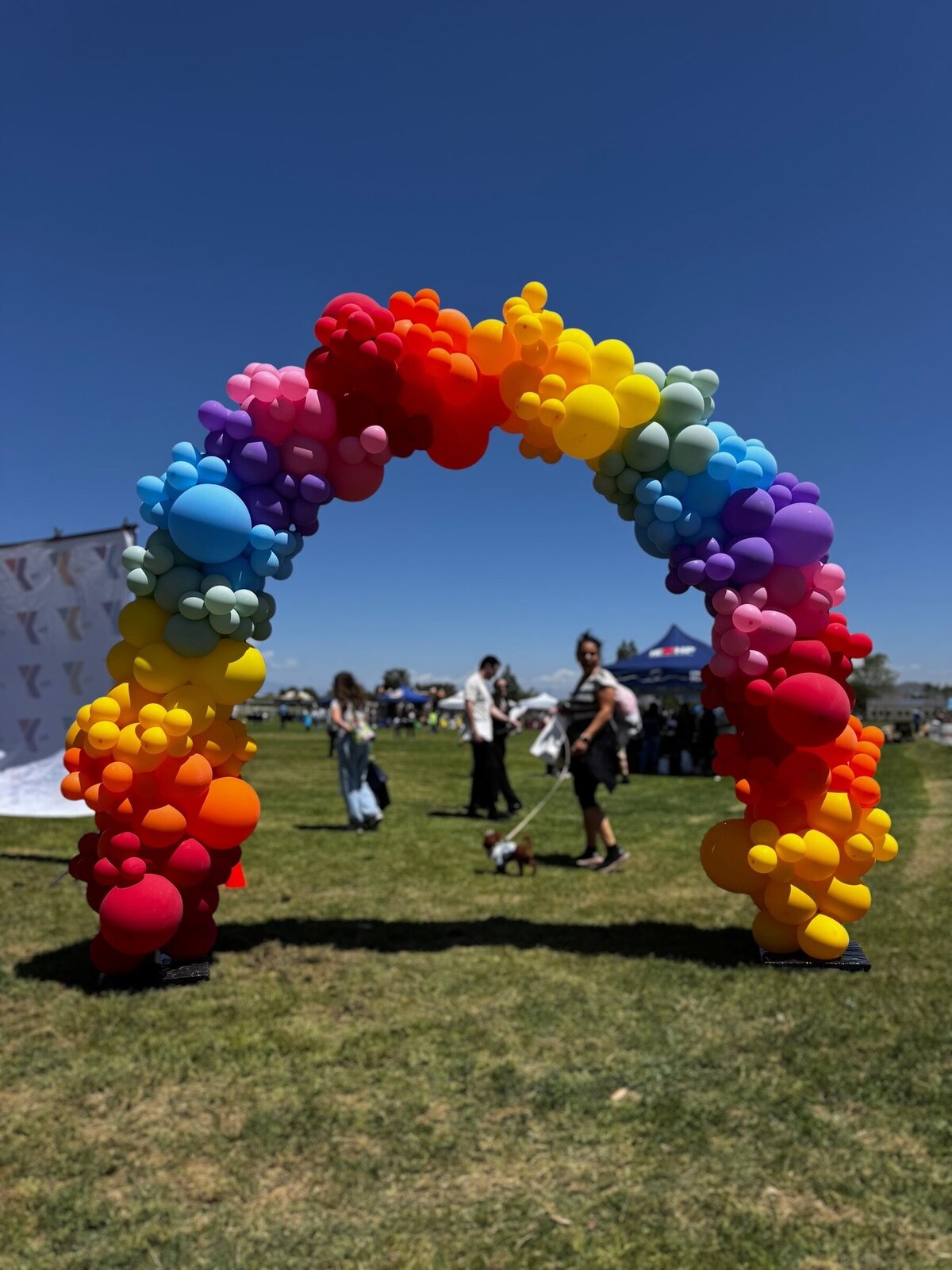 Balloons Orange County 360