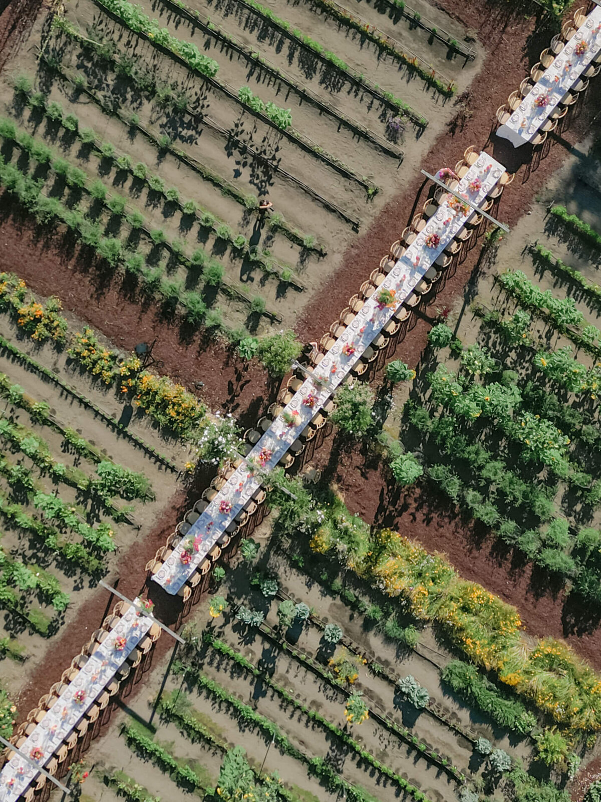 dji_fly_20240727_172052_59_1722139644882_photo 2