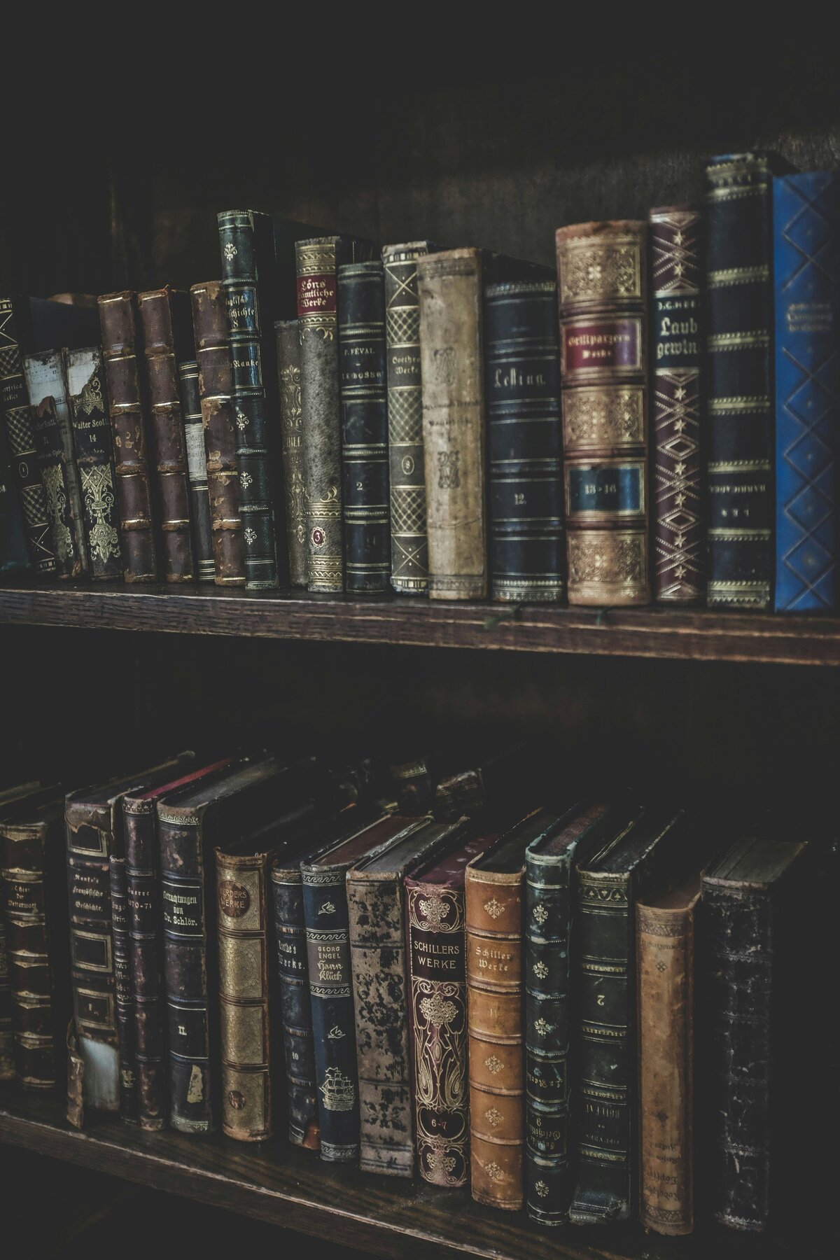henry-chuy-JF23XEo2cHA-unsplash