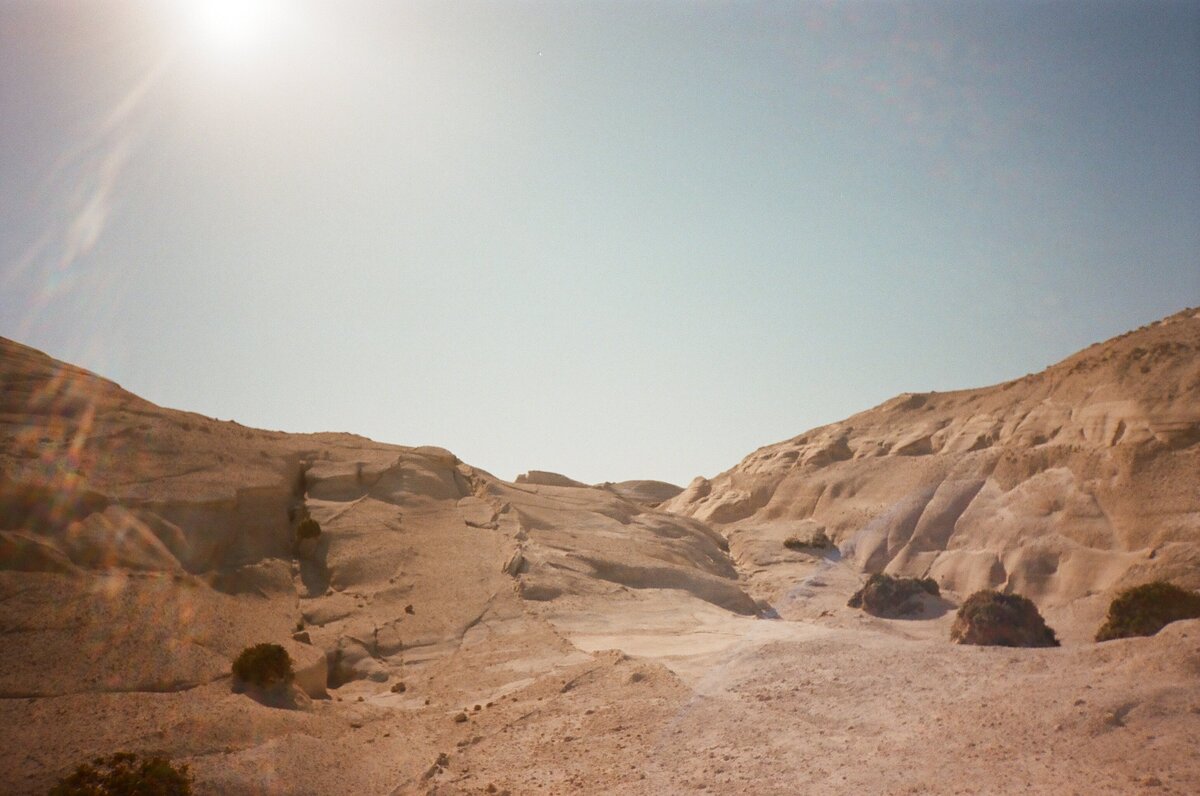 film59 copy