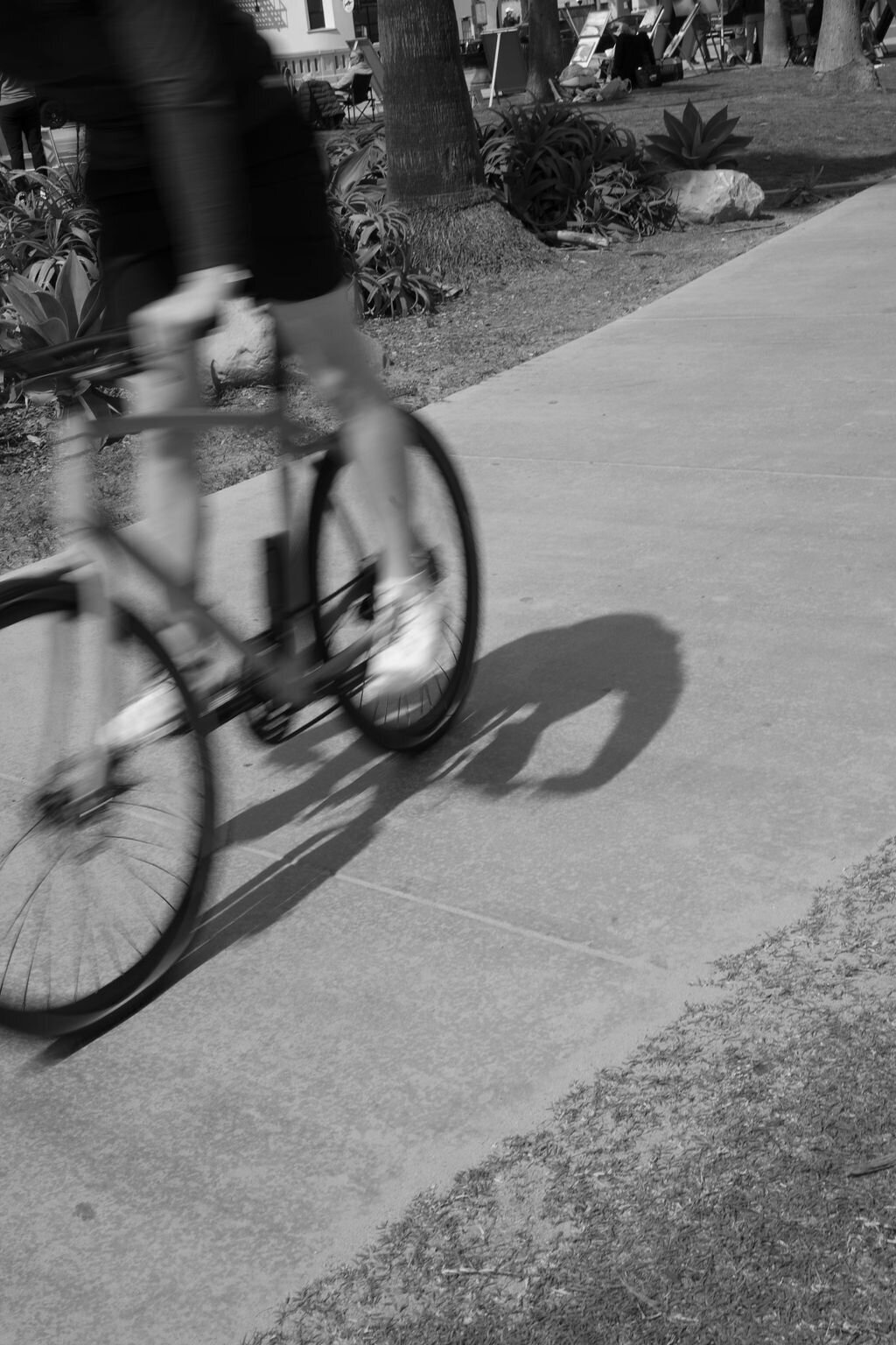 Chelsey_Barhorst@chelseyjbarhorst_-Kinetic25_BelmondElEncanto(8of438)