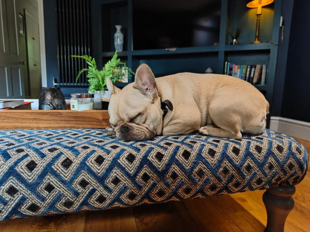 06a32b2a-632f-45c8-a6b8-9b906f49c9d7