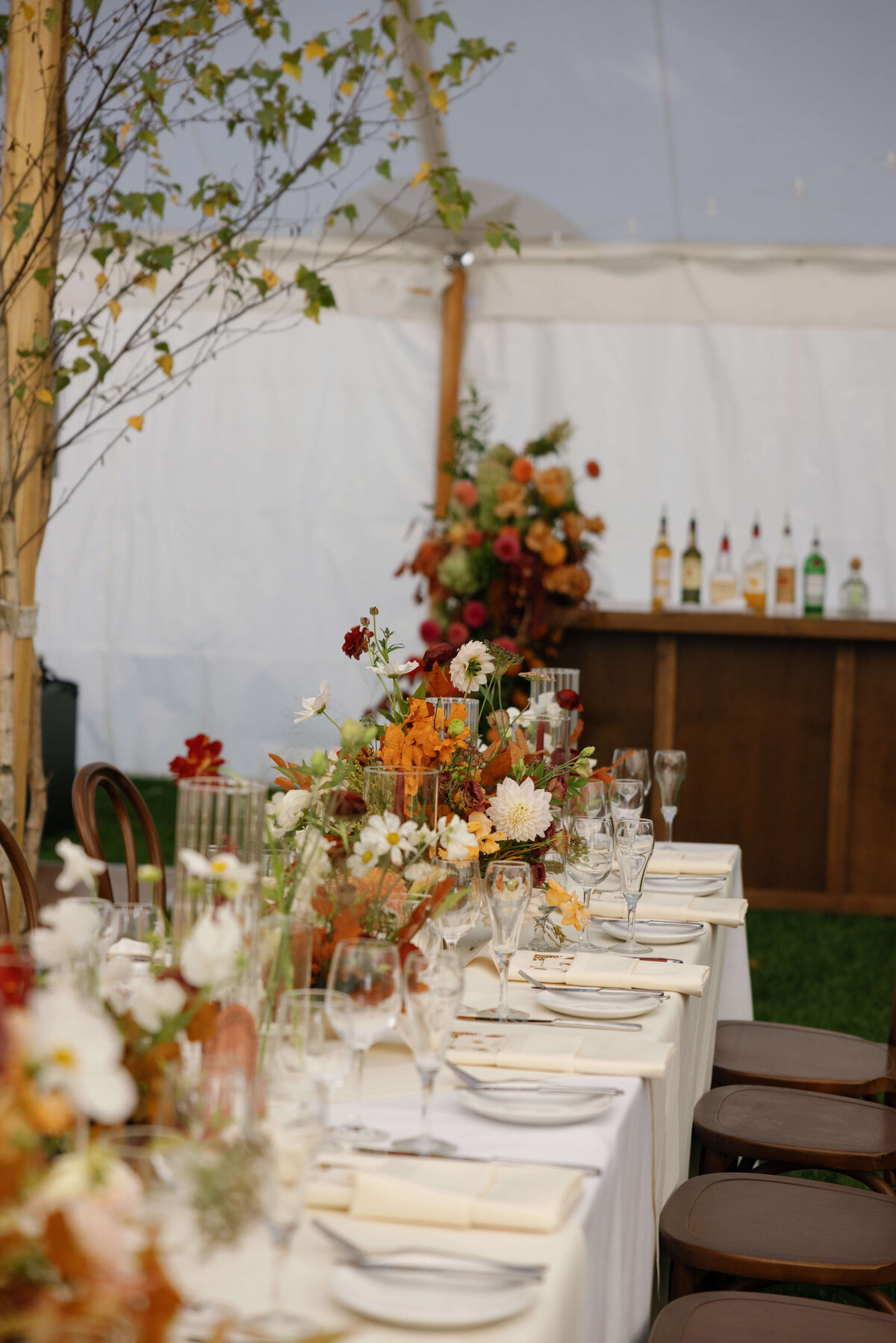 TriciaBaileyPhotography-1008