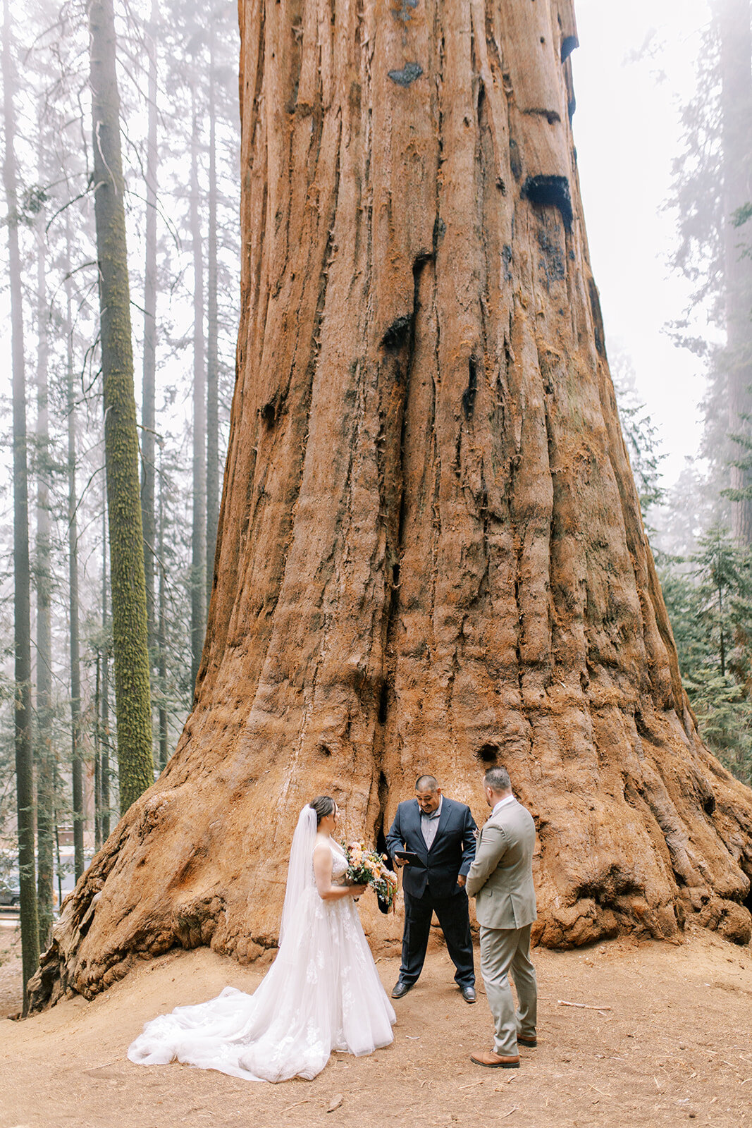 Kimberly and Keith Elopement in Sequoia-230_websize