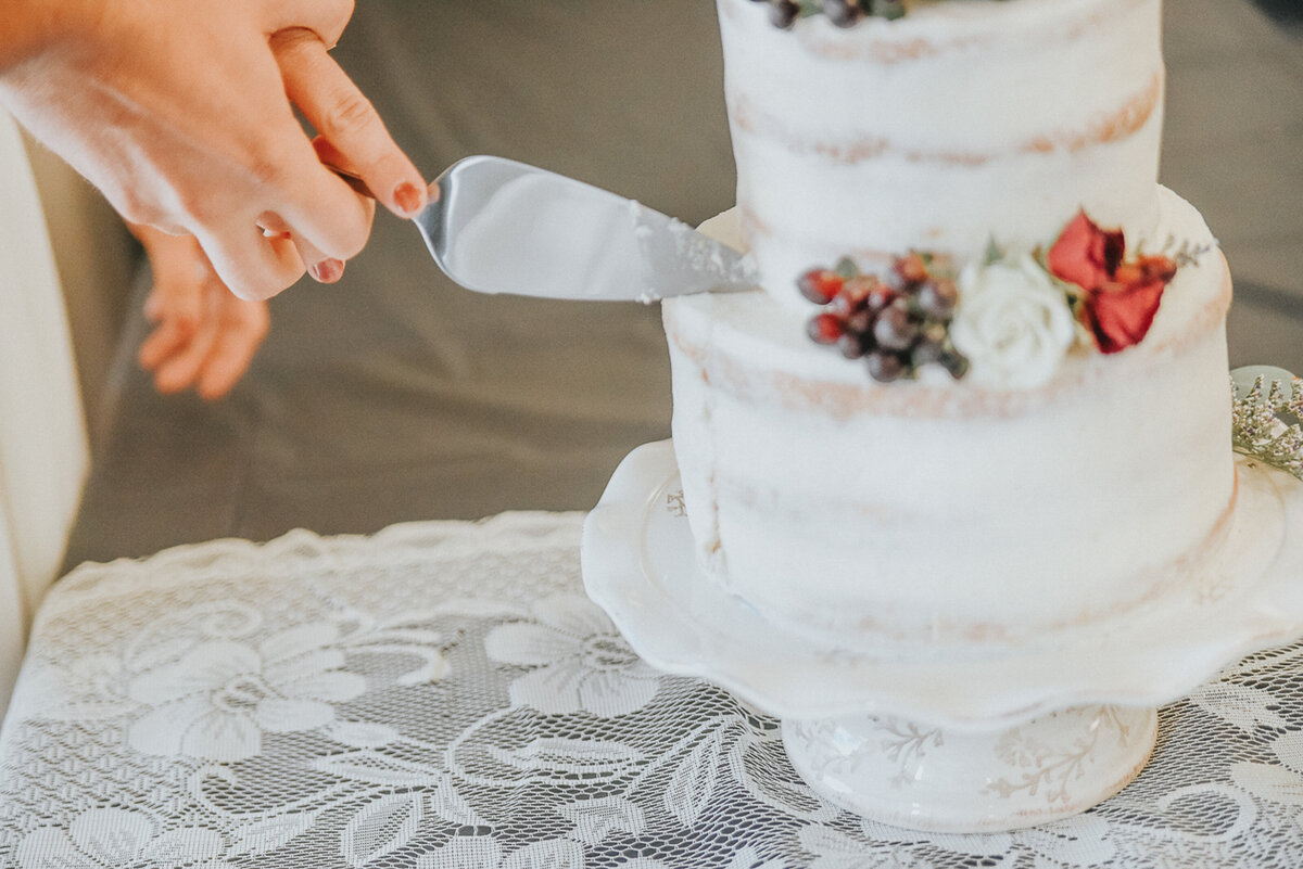 wedding speeches and cake | Iowa wedding photographer | Iowa Photographer | Playlife | Cedar Rapids | Iowa City | Kalona | Alaynna Ann Schwartz-42