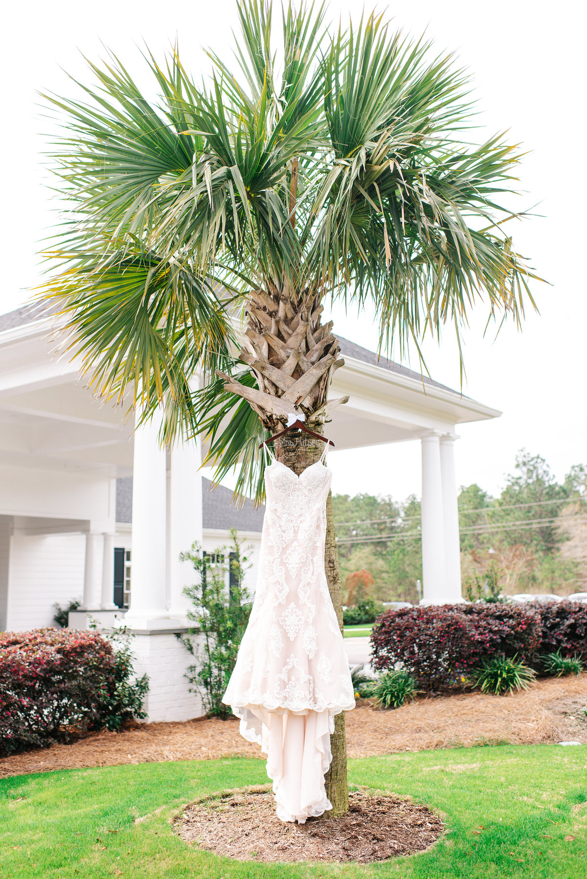 Dress hanging in palm tree at Reserve Club Wedding Aiken SC Phootgrapher