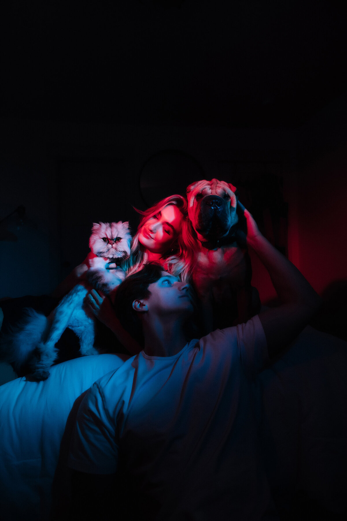 couple-posed-with-dog-and-cat