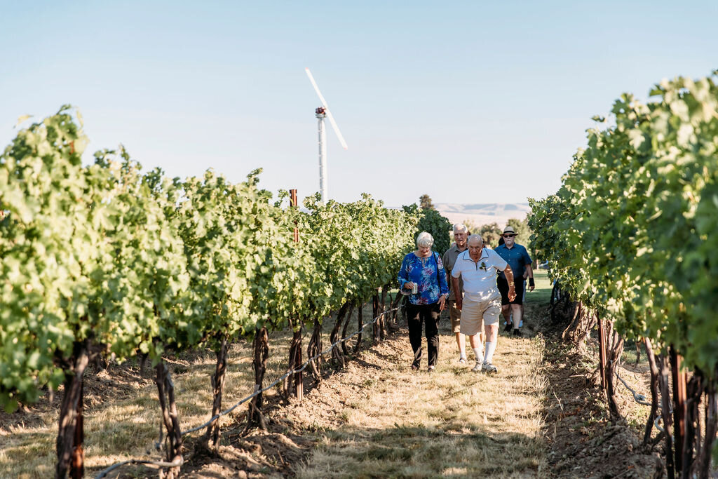 Kinhaven Dining In The Vines Guests Walking