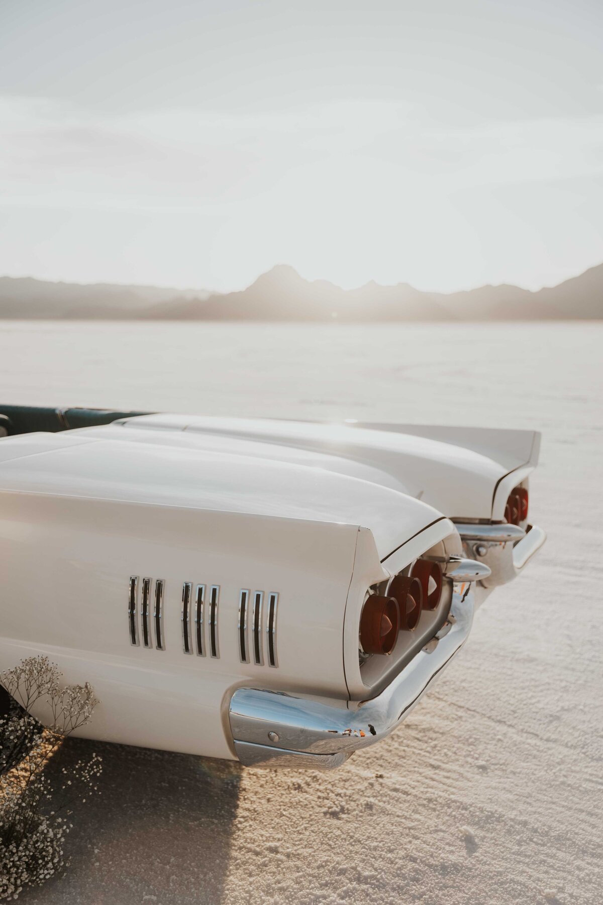 CassieBethPhotography-1452