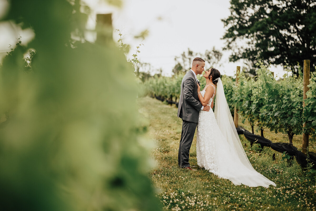 vineyardsataquebogue-115