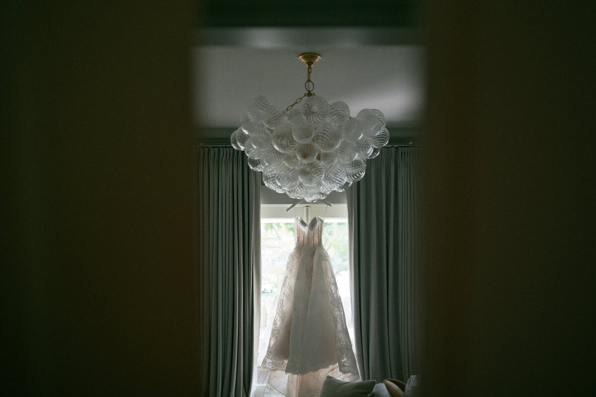 231202CAMEDD_adv0012