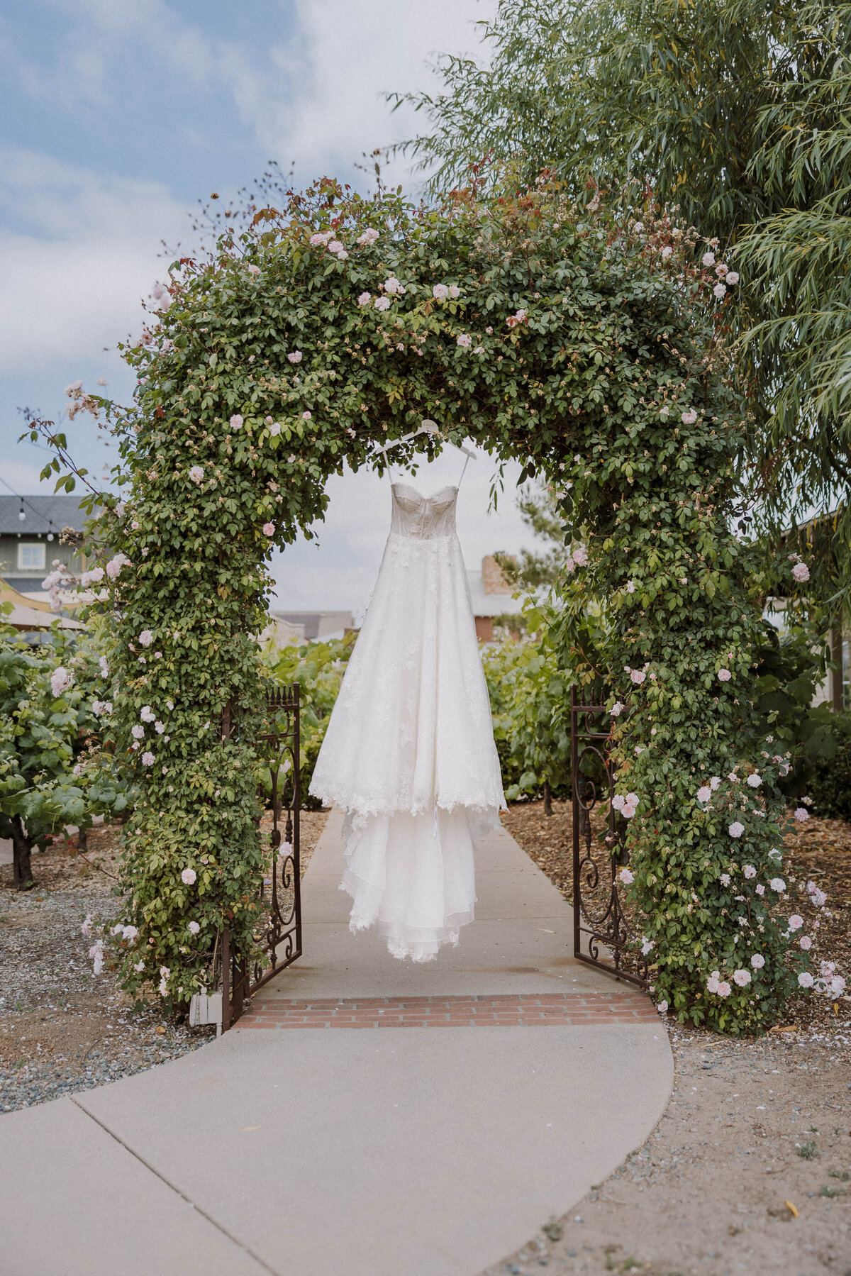 temecula winey wedding candid editorial
