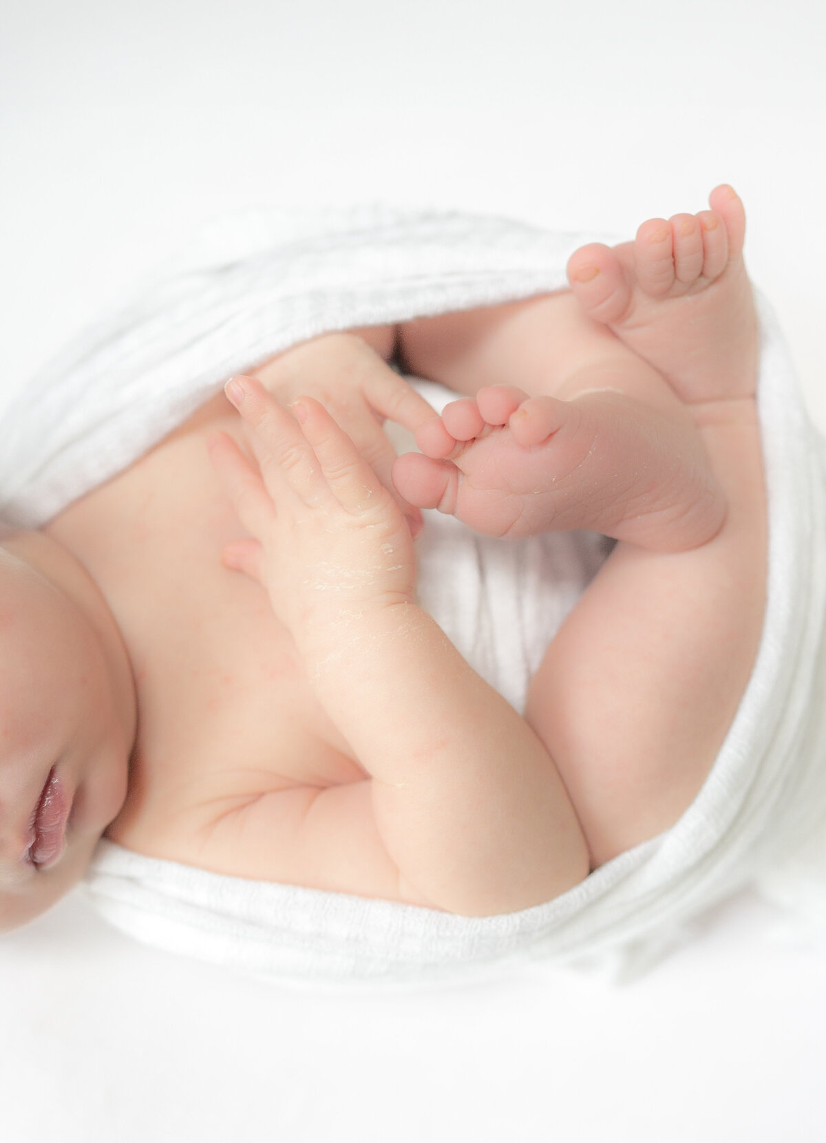 Apex Newborn Photography