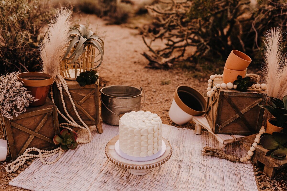 cake smash session in arizona desert