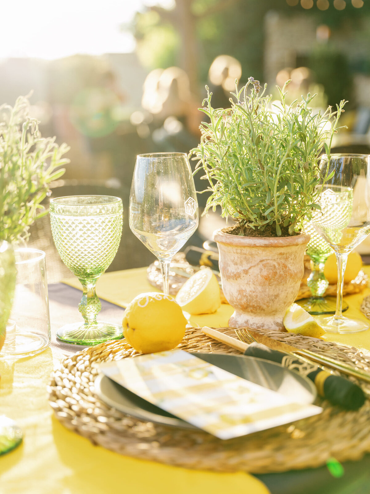Tigrr_Gordes_welcome_dinner