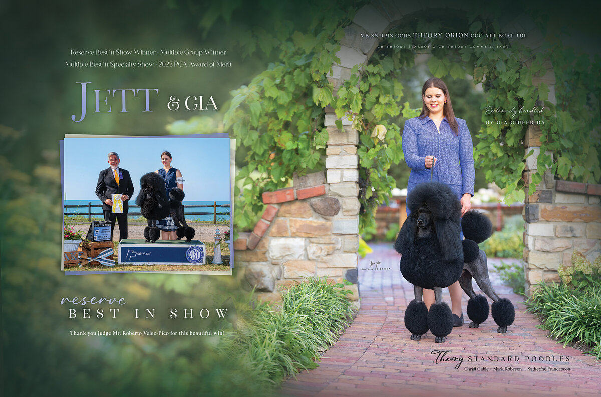 Jett and Gia Dog News Final