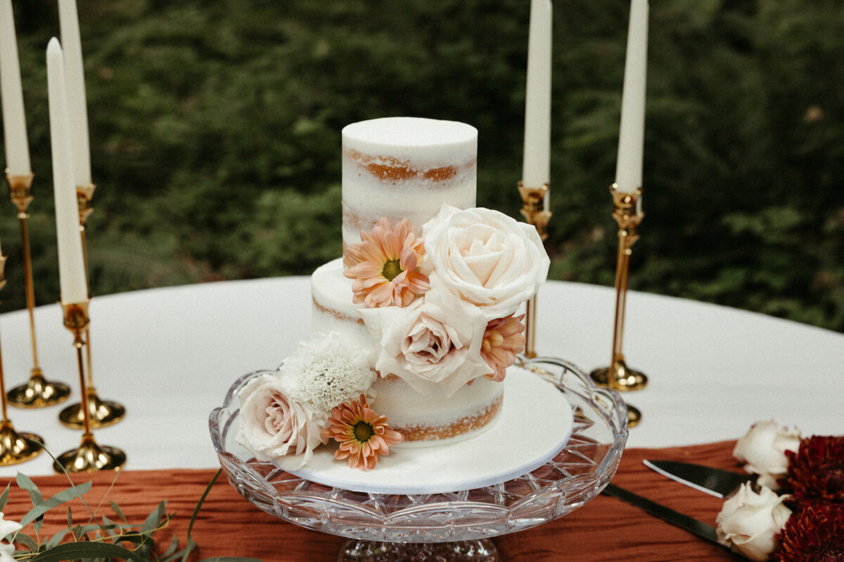 MtRainierSmallWedding-DallinHazard-339