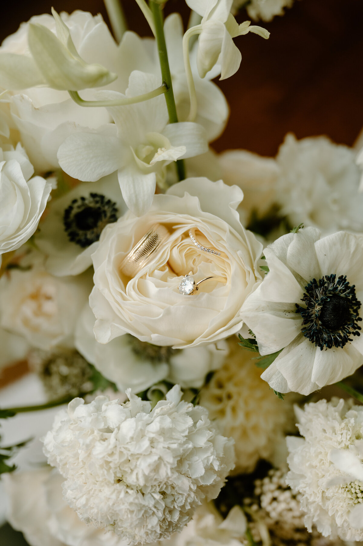 JessicaLuannPhoto-4