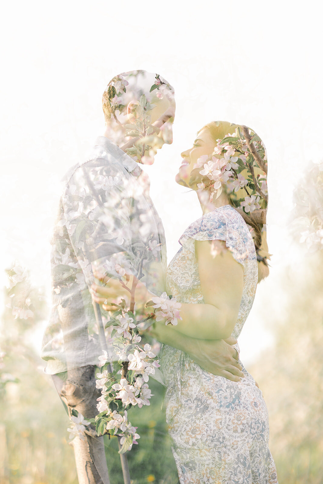 Terri-Lynn Warren Photography - Halifax Engagement Wedding Photographer Apple Blossoms-4020