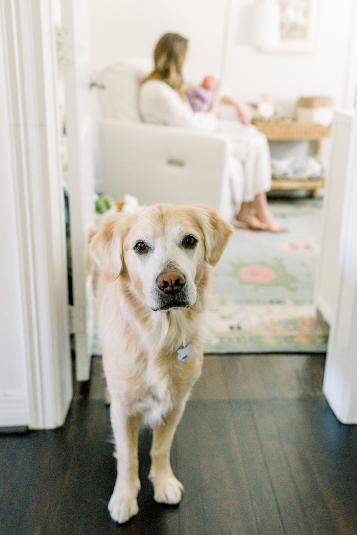 2022-Zoey-mandi-thompson-photography0000001000005