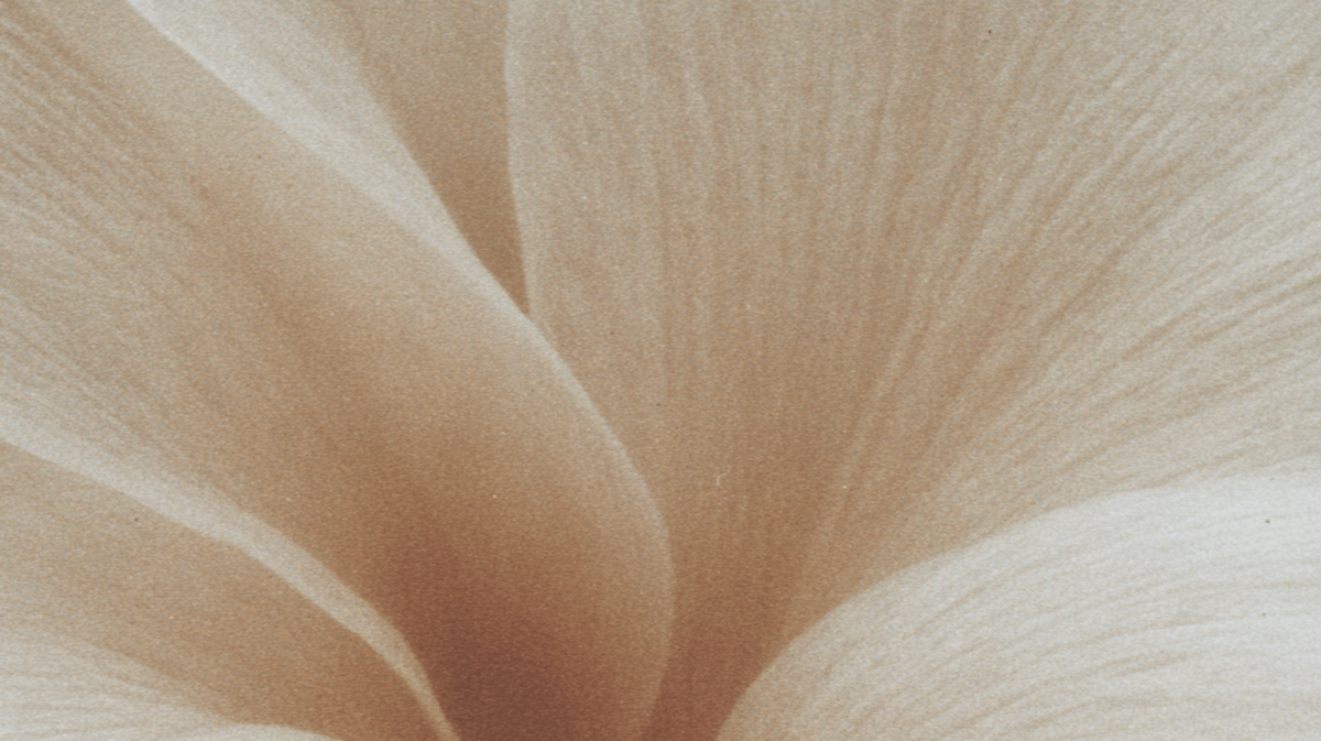alignment-flower-closeup.jpg