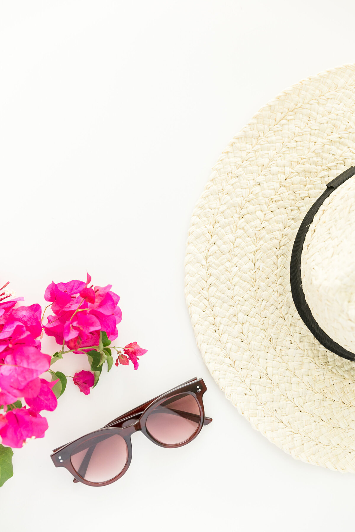 Chelsea P. stock images114