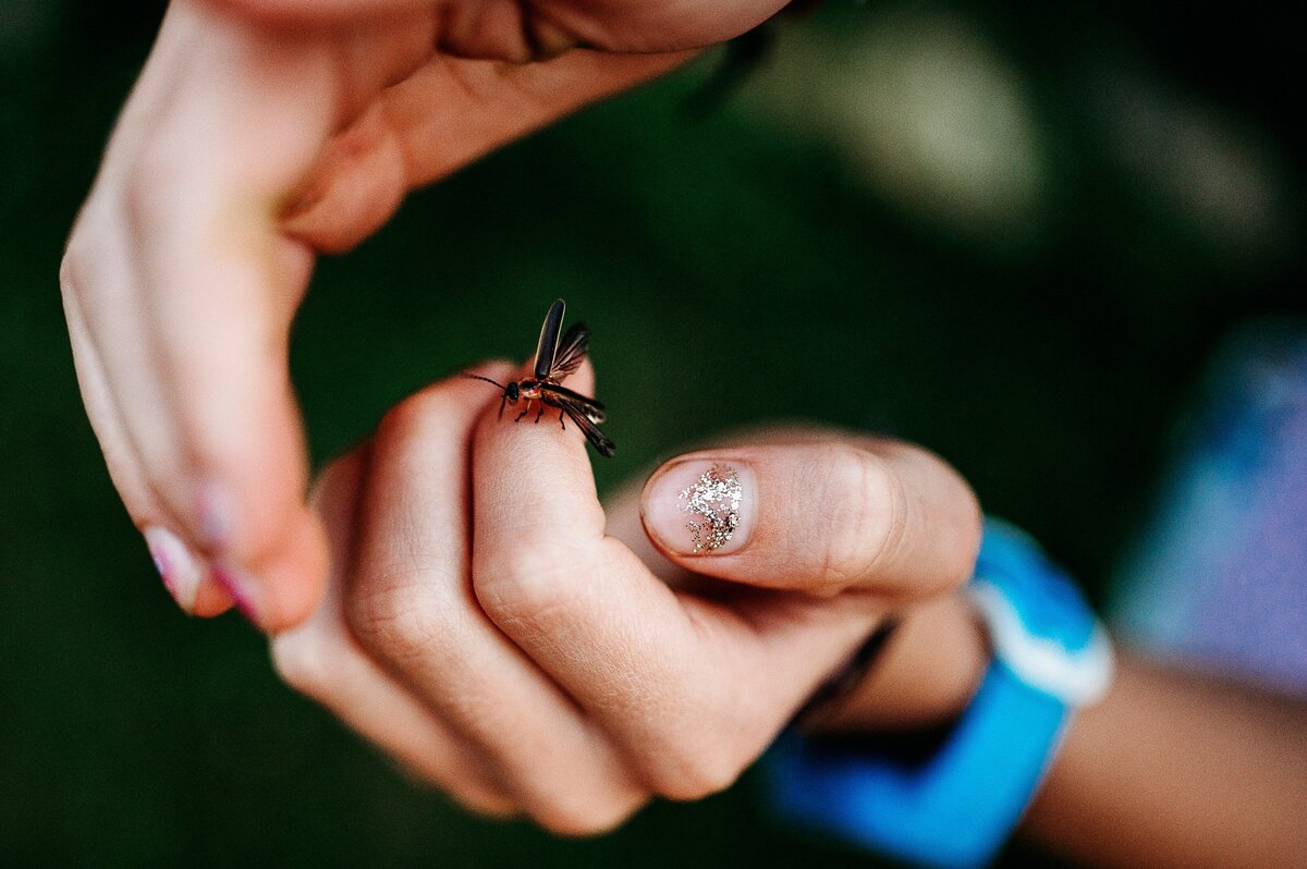 Firefly in hands McKennaPattersonPhotography