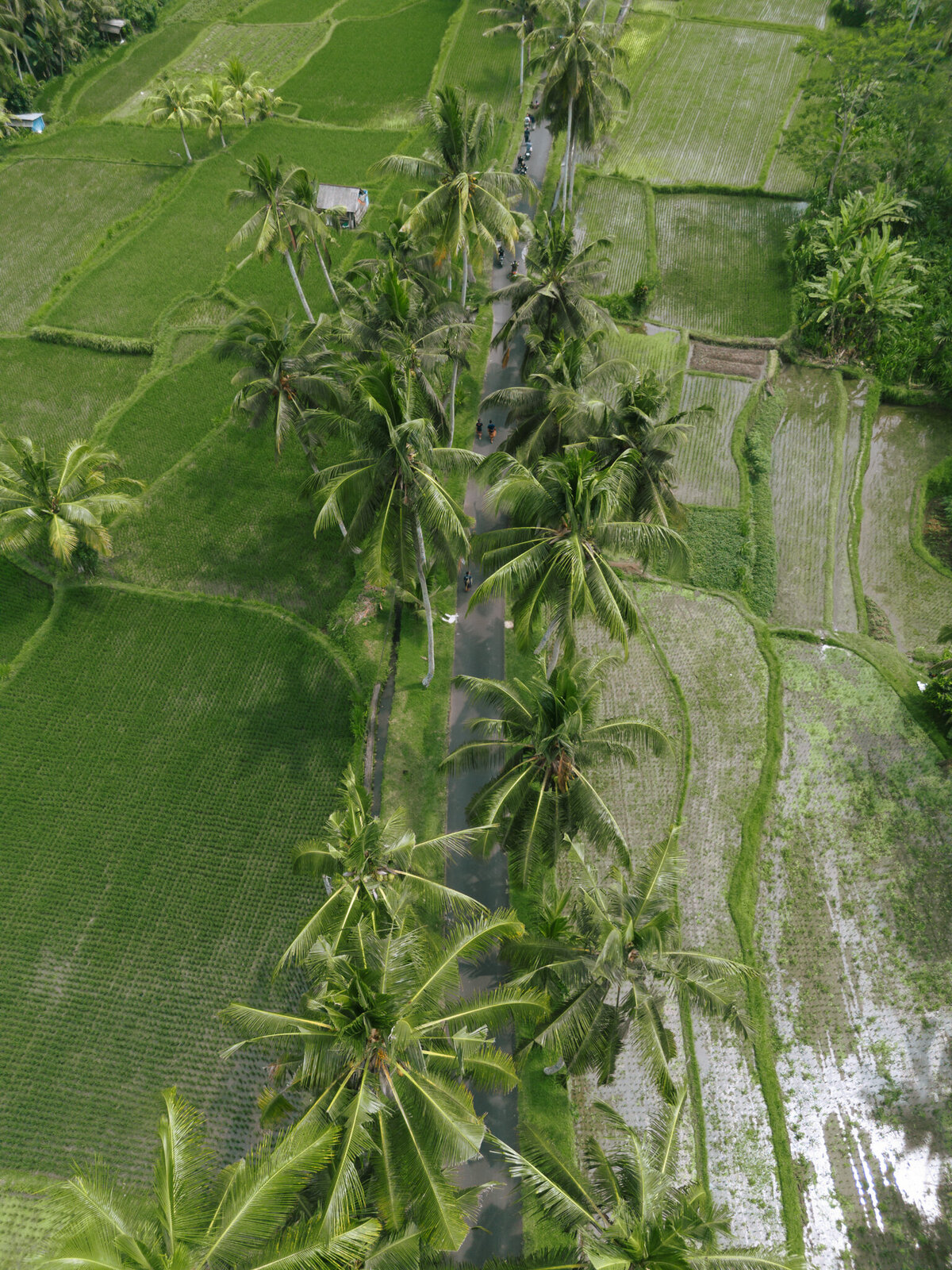 20241128-DJI_0035