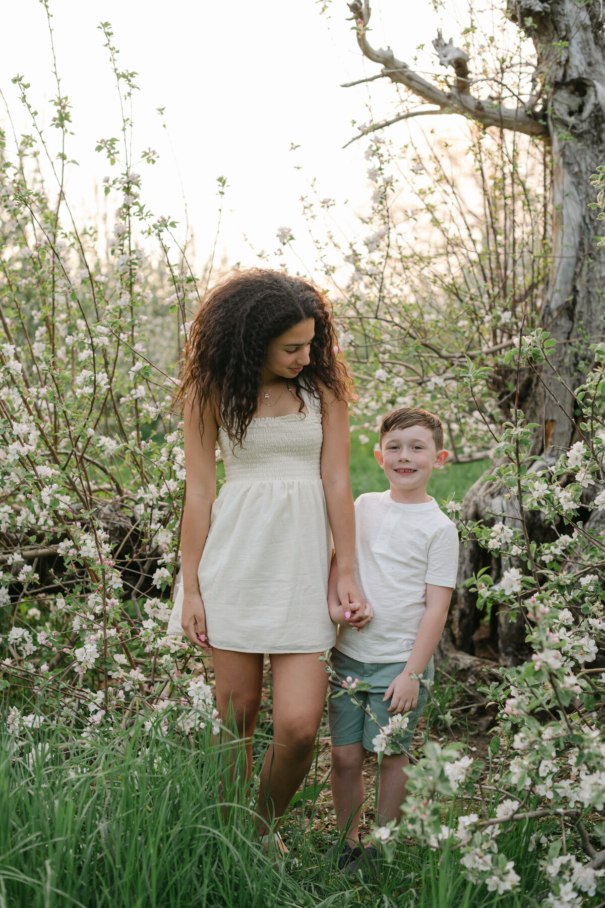bella-luce-by-michelle-andrea-new-england-family-2024-5938
