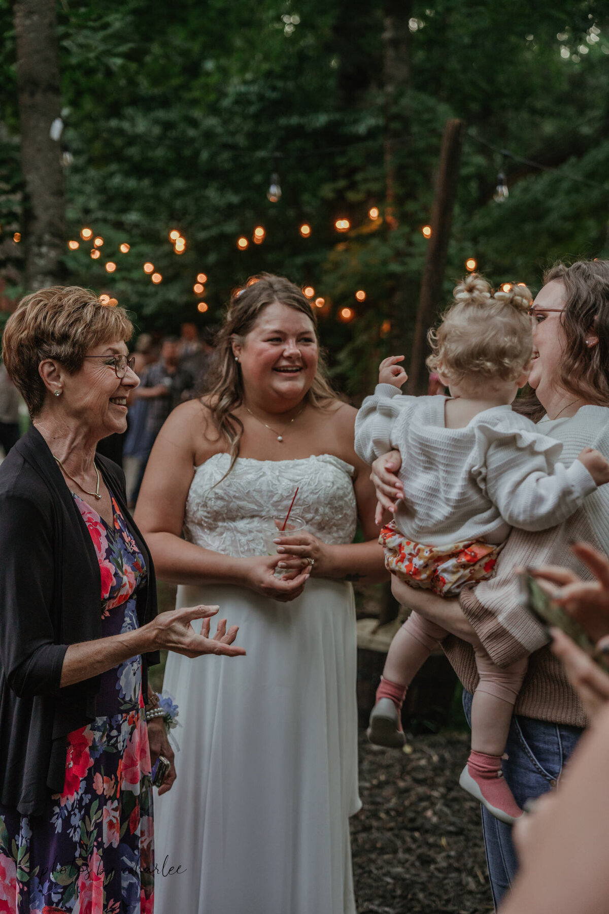 wedding venues upper peninsula-92