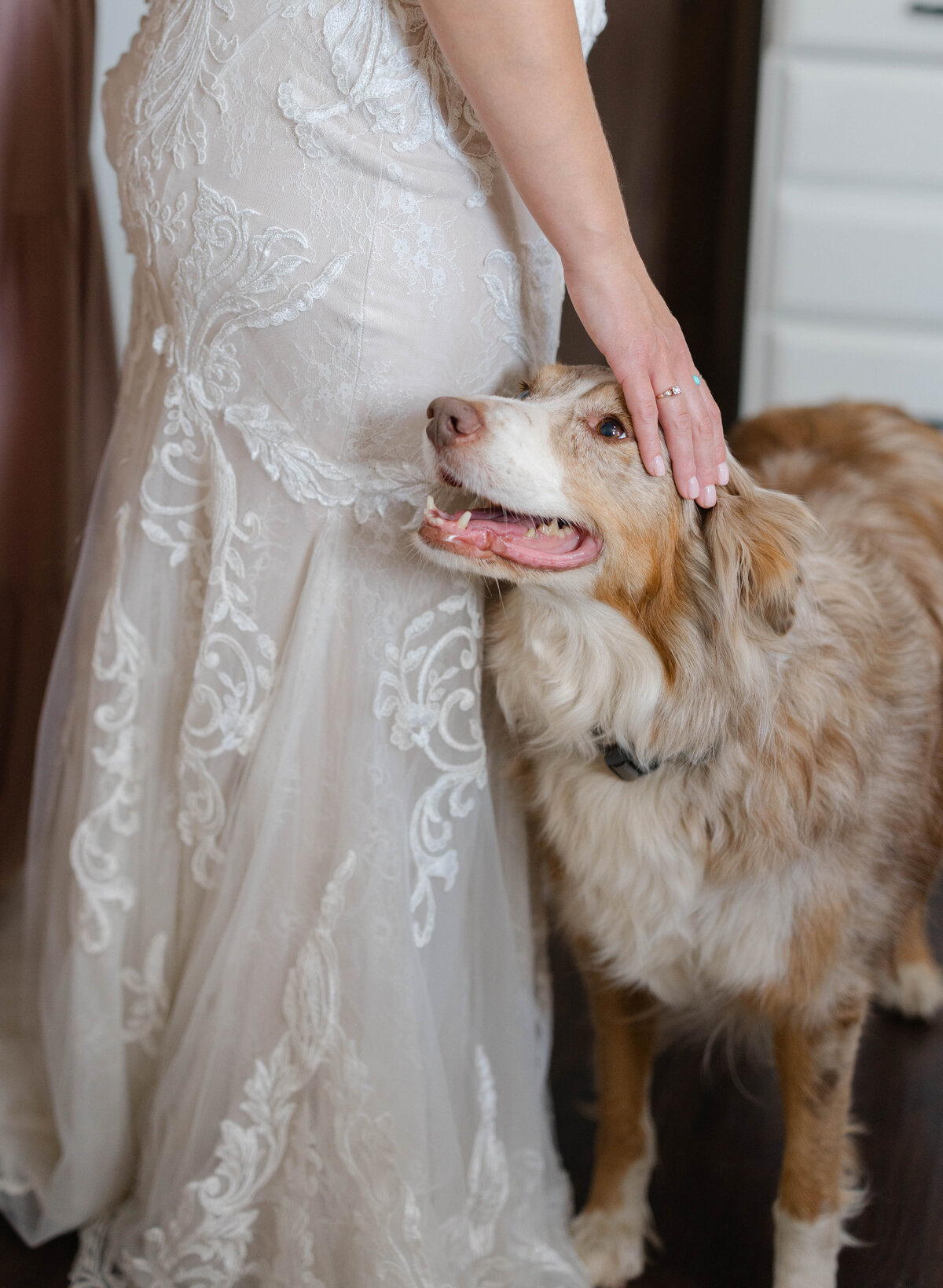 Alyssa + Brandon, Pilot Hill, CA Wedding 7-11-25-17