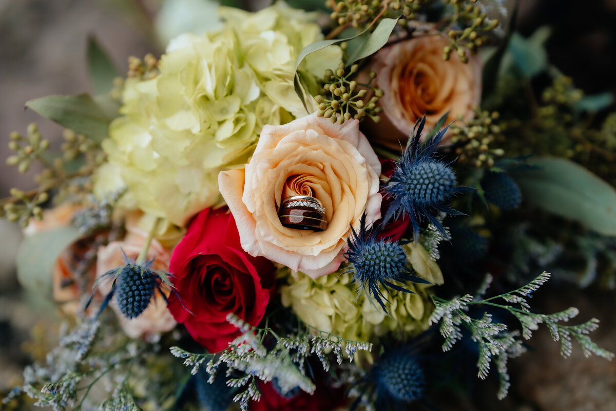 AshlynClemmerPhotography_Patterson-Rea-Elopement-00983