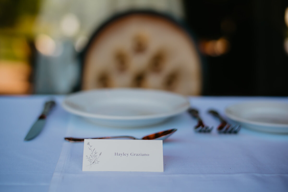 Hayley + Nick_Reception-13