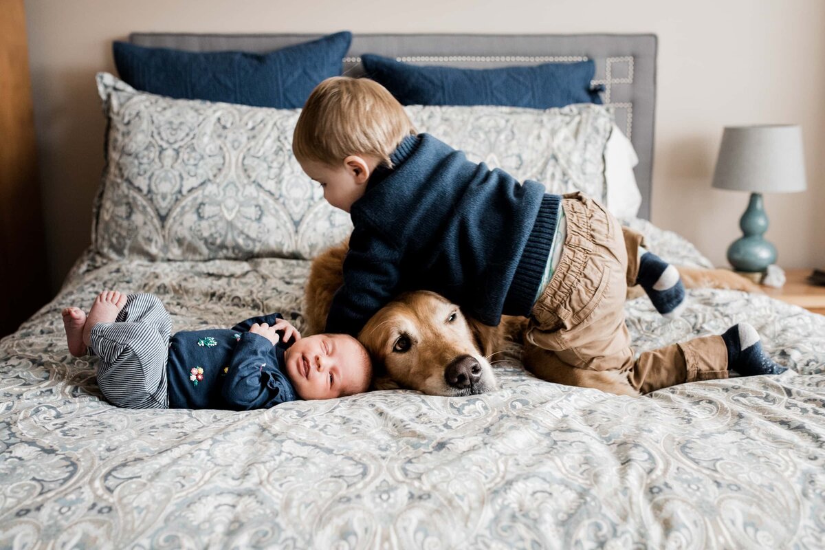 A toddler gently leaning on a calm dog while a newborn lies beside them on a bed, captured in a heartwarming at-home newborn photography session.