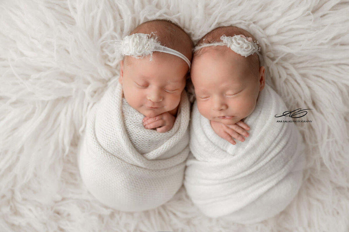 Edmonton Newborn Photography twin baby girls wrapped in white