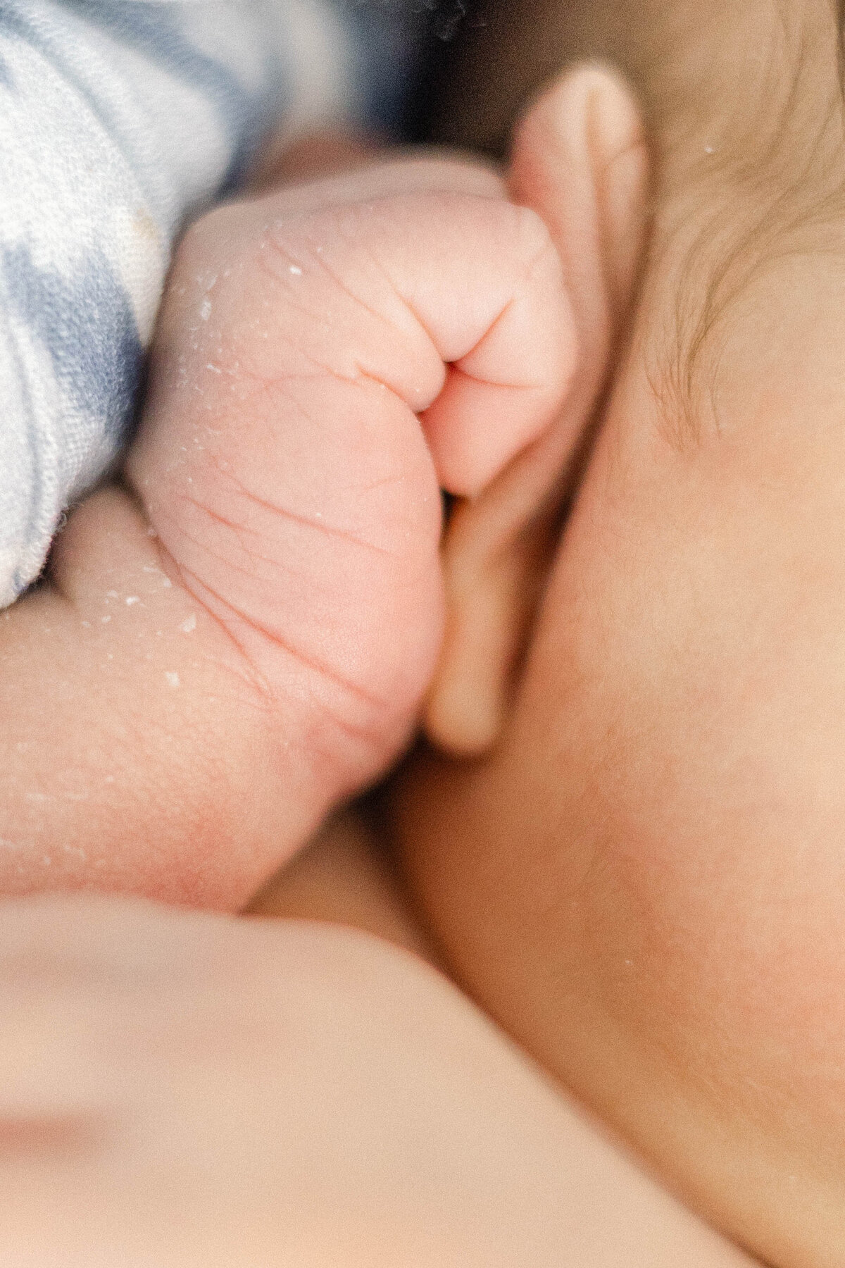 Close-up of newborn’s tiny hands during lifestyle session in Cranford, New Jersey.