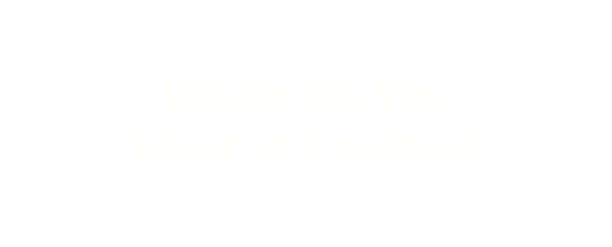 Title text in a softer sans serif font that is a little playful